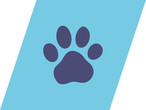 Paw Patrol
