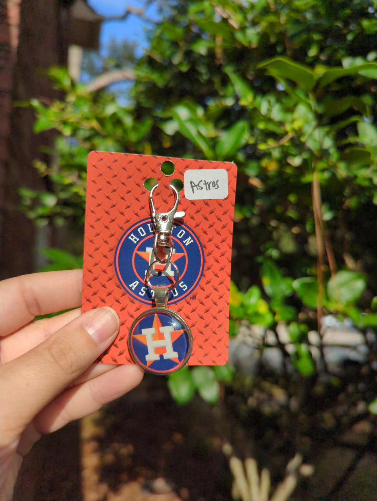 Houston Astros MLB Keychain